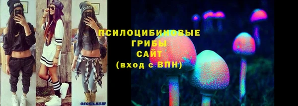 стафф Арсеньев