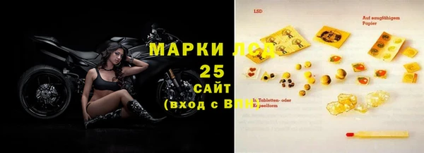 стафф Арсеньев
