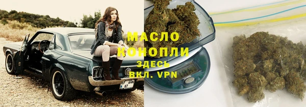 стафф Арсеньев
