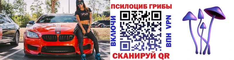 Псилоцибиновые грибы Cubensis  как найти закладки  mega сайт  Солнечногорск 